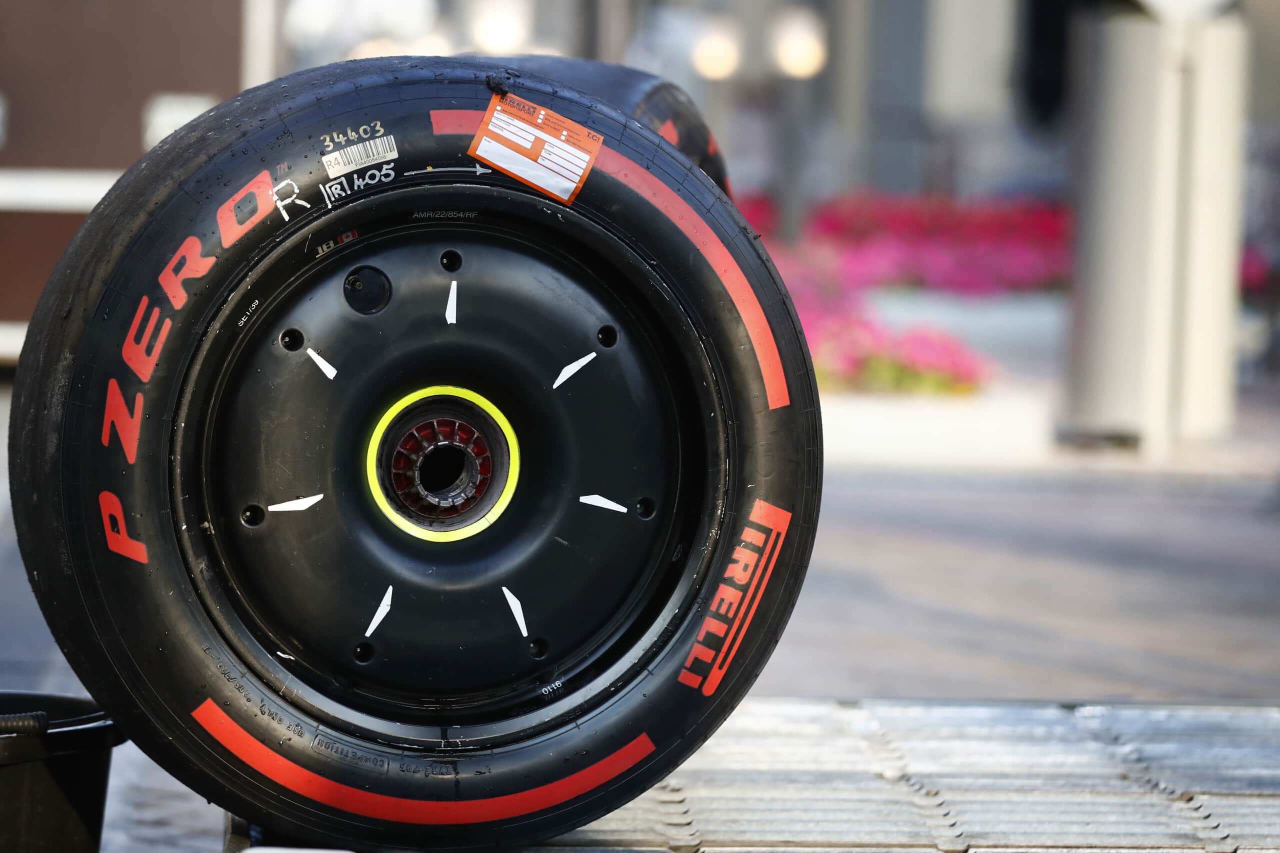 F1 Tire 2024 - Janine Serena