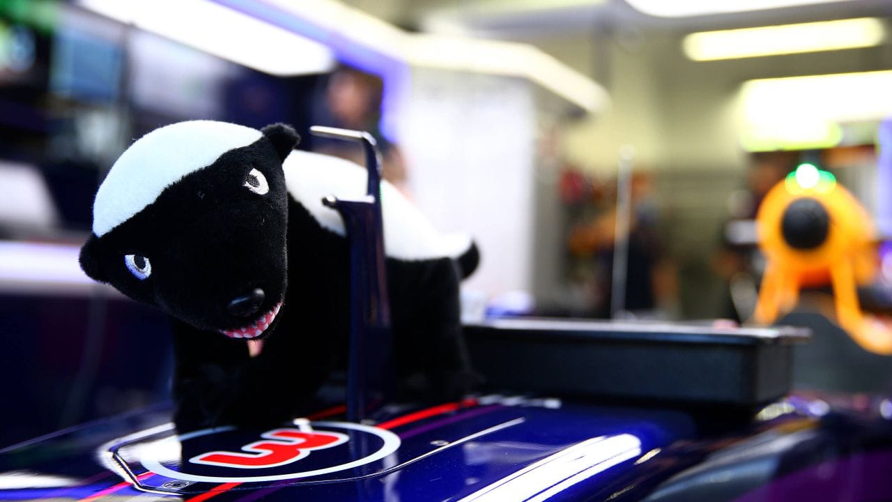 Why Is Daniel Ricciardo Called The Honey Badger? | F1 News