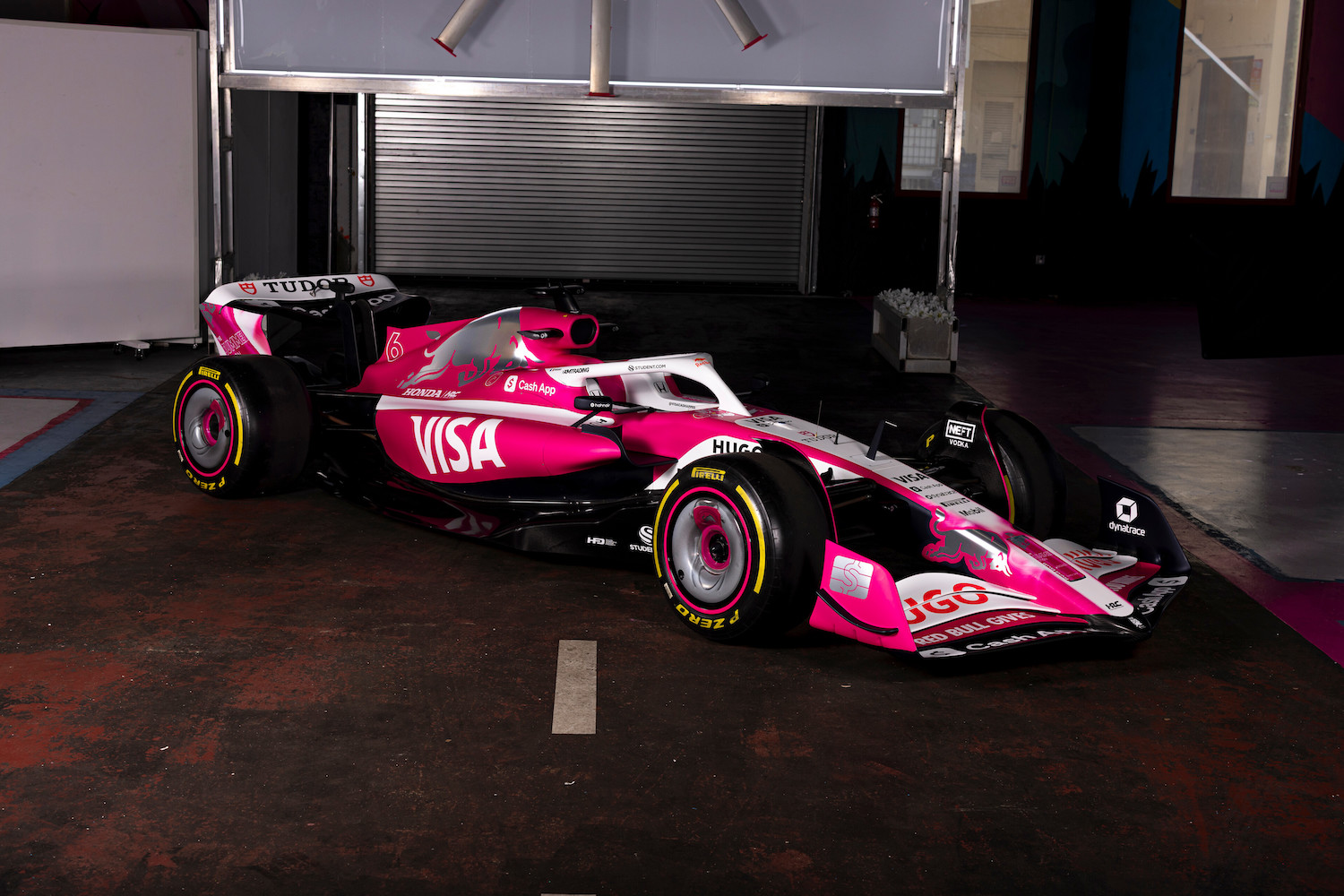 Visa Cash App Racing Bulls Custom Livery