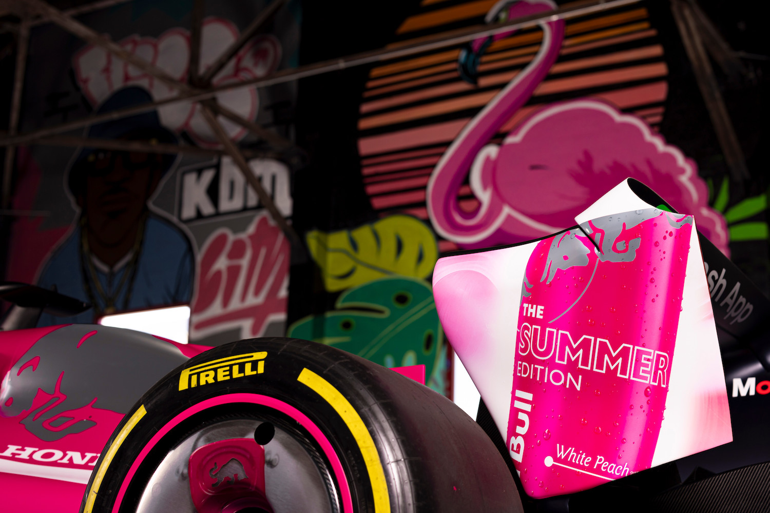 Visa Cash App Racing Bulls Custom Livery