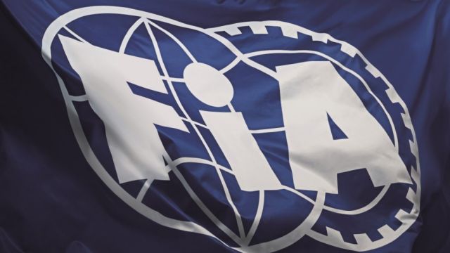 Fia Flag 39